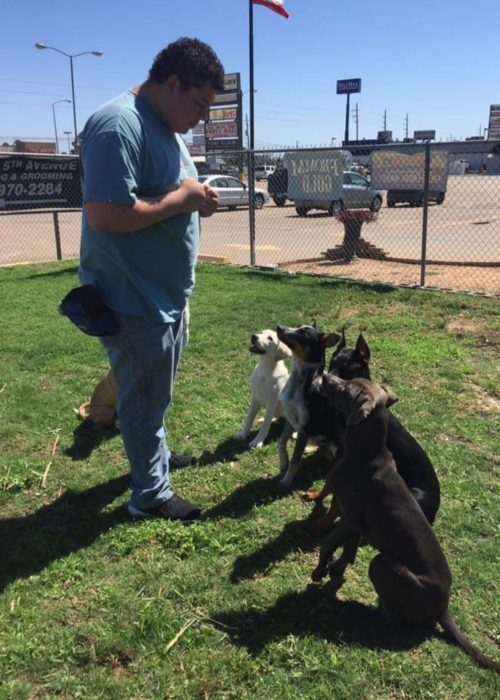 A man standing in front of a group of dogs, looking at them with a smile.